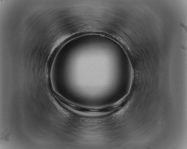 X0000091450981200708231251