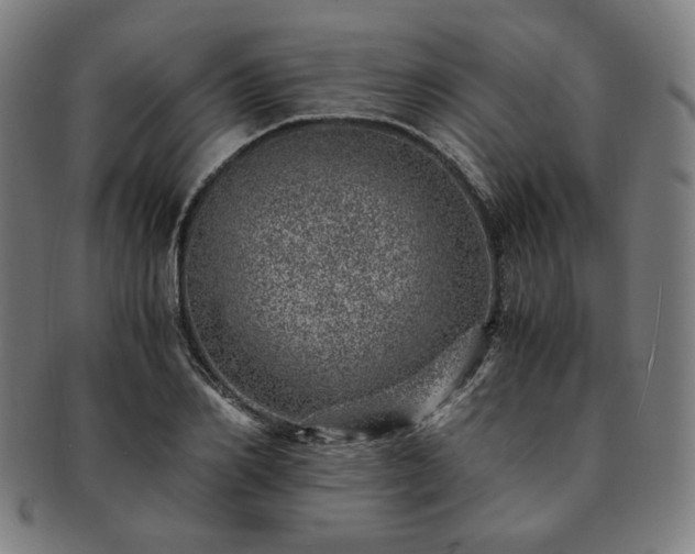 X0000091450982200708231251