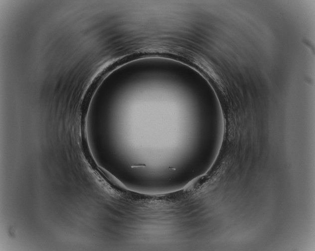 X0000091450984200708231251