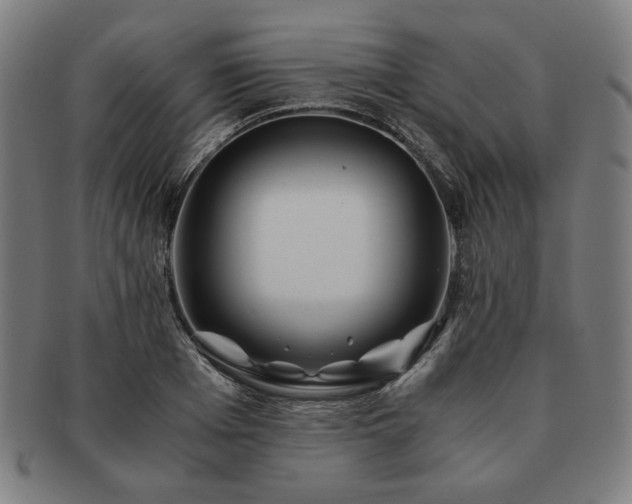 X0000091450985200708231251