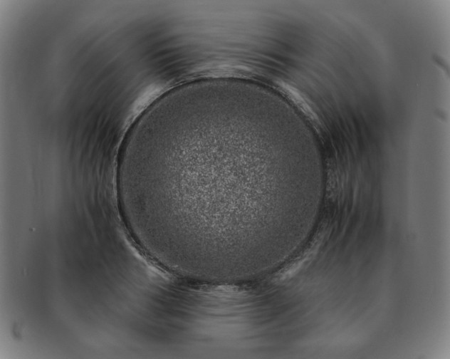X0000091450986200708231251