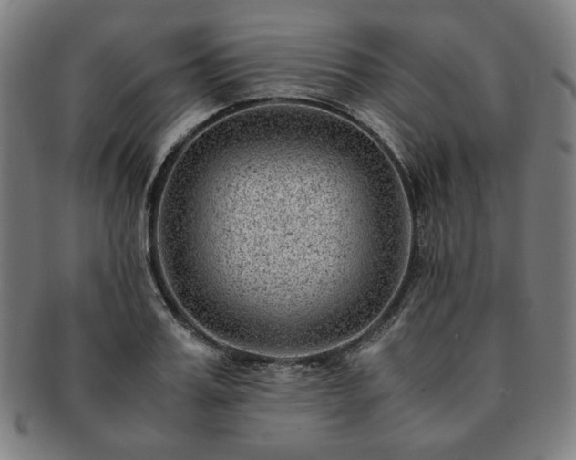 X0000091450987200708231251