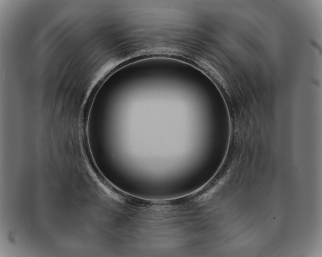 X0000091450989200708231251