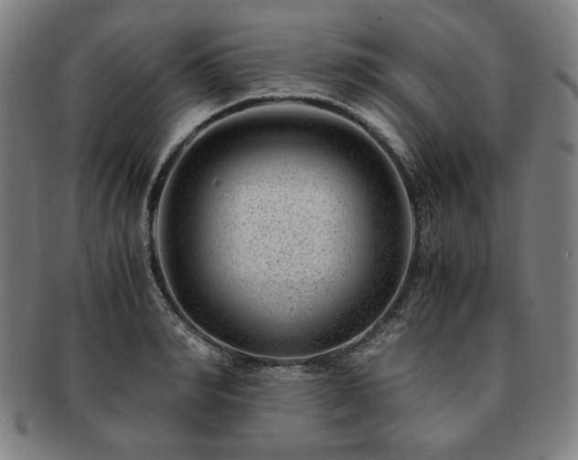 X0000091450990200708231251