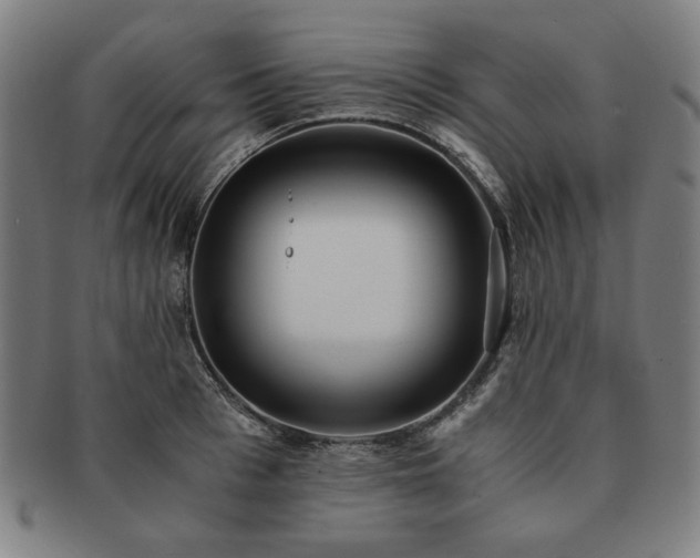 X0000091450993200708231251