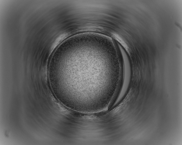 X0000091450994200708231251