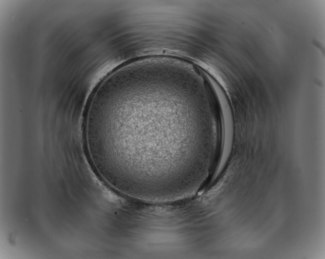 X0000091450995200708231251