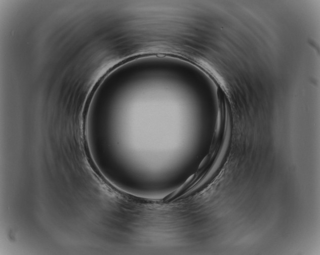 X0000091450996200708231251