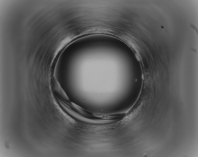 X0000091450997200708231251