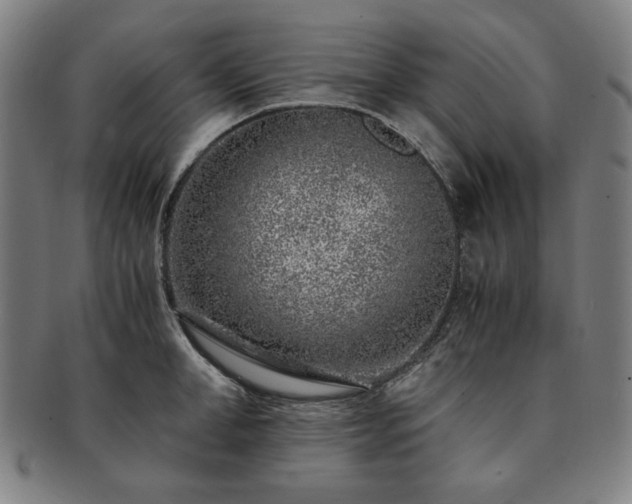 X0000091450998200708231251