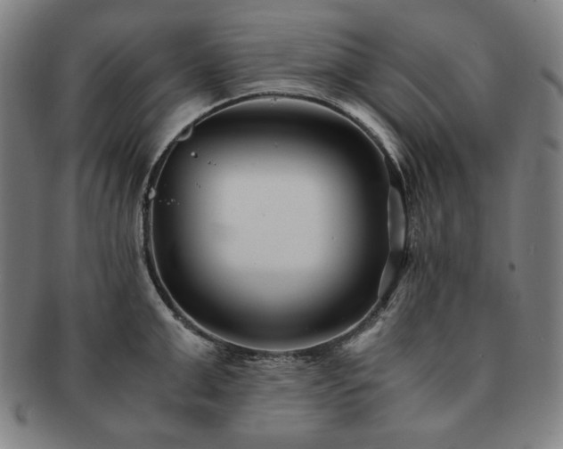 X0000091450999200708231251