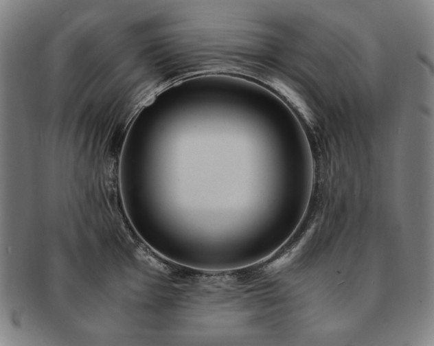 X0000091451001200708231251