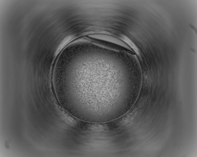 X0000091451002200708231251