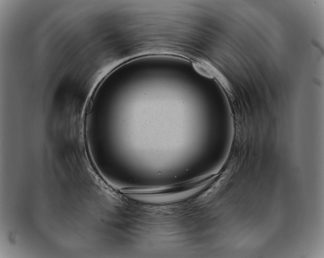 X0000091451004200708231251