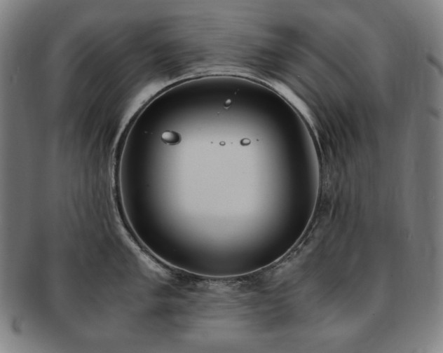 X0000091451005200708231251