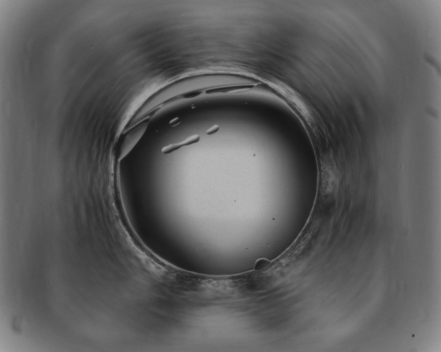 X0000091451006200708231251