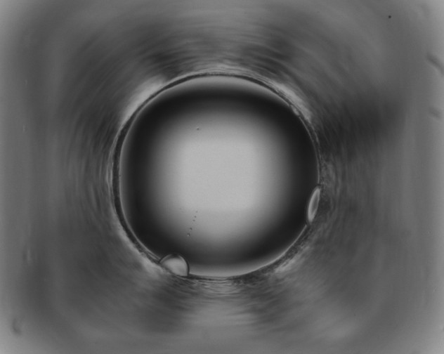 X0000091451007200708231251