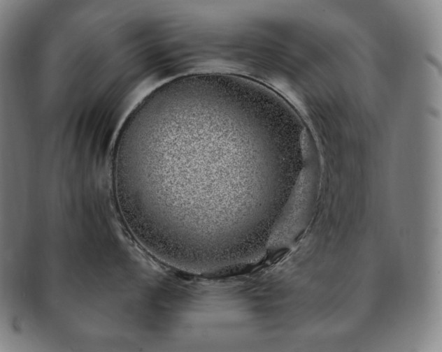 X0000091451008200708231251