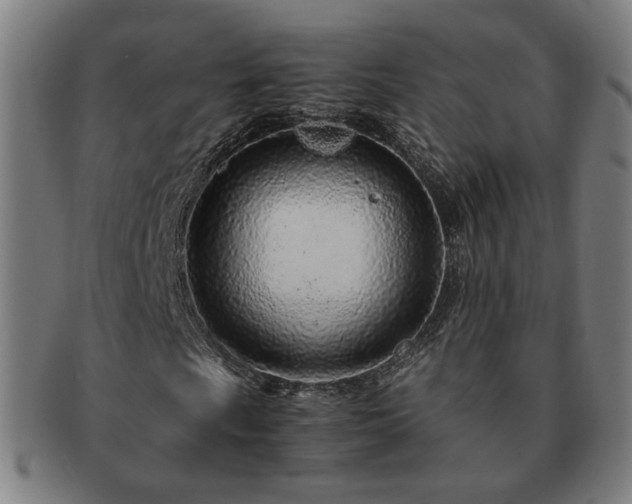 X0000091451009200708231250