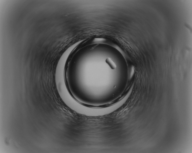 X0000091451010200708231250