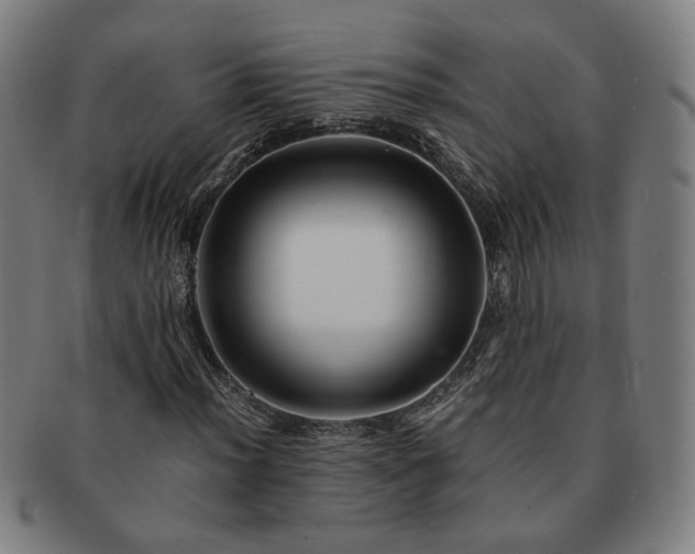 X0000091451012200708231250