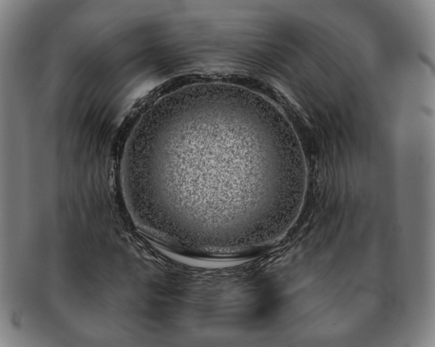 X0000091451016200708231250