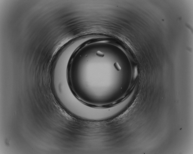 X0000091451018200708231250