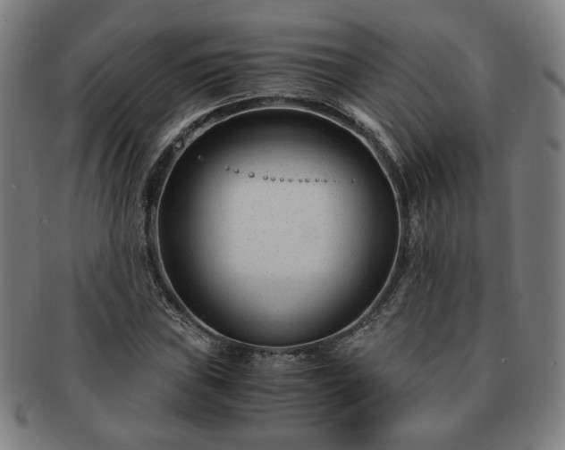 X0000091451019200708231250