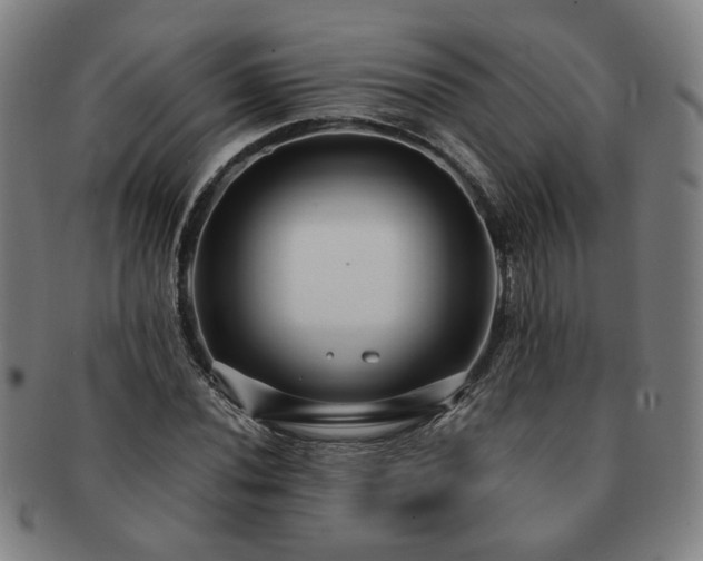 X0000091451020200708231250