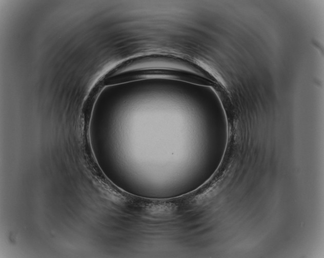X0000091451021200708231250