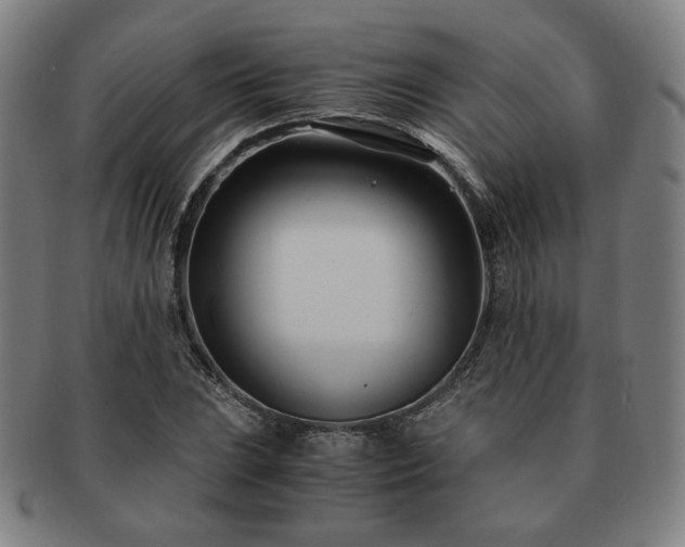 X0000091451023200708231250