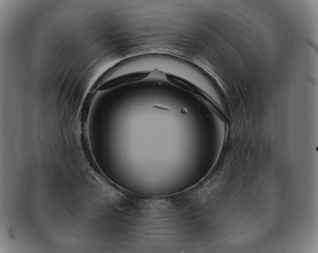 X0000091451024200708231250
