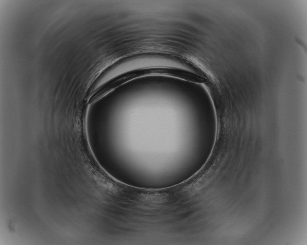 X0000091451025200708231250