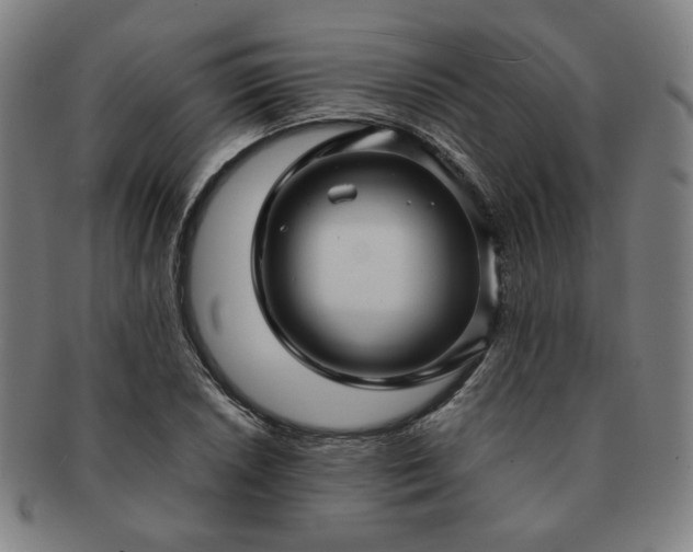 X0000091451026200708231250
