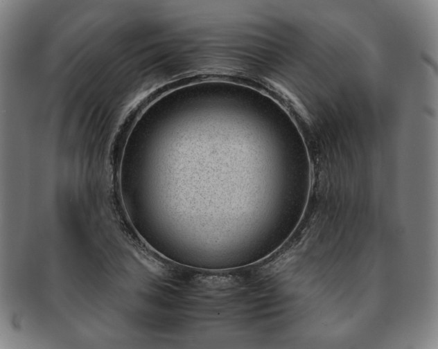 X0000091451027200708231250