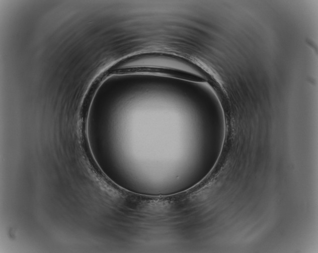 X0000091451029200708231250