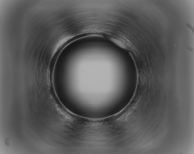 X0000091451030200708231250
