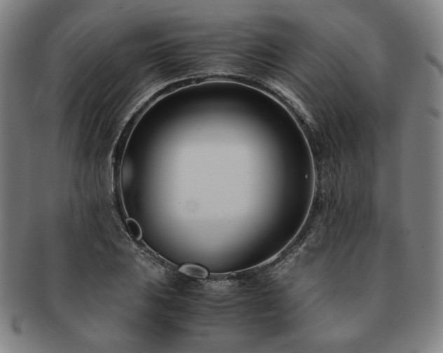 X0000091451031200708231250