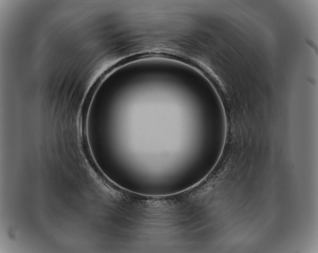 X0000091451032200708231250