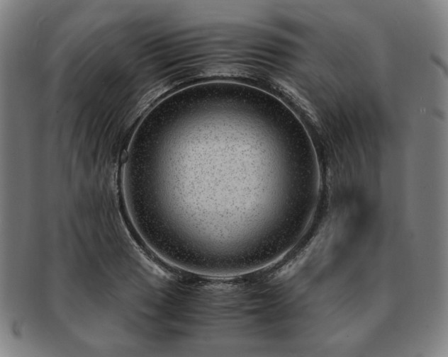X0000091451033200708231251