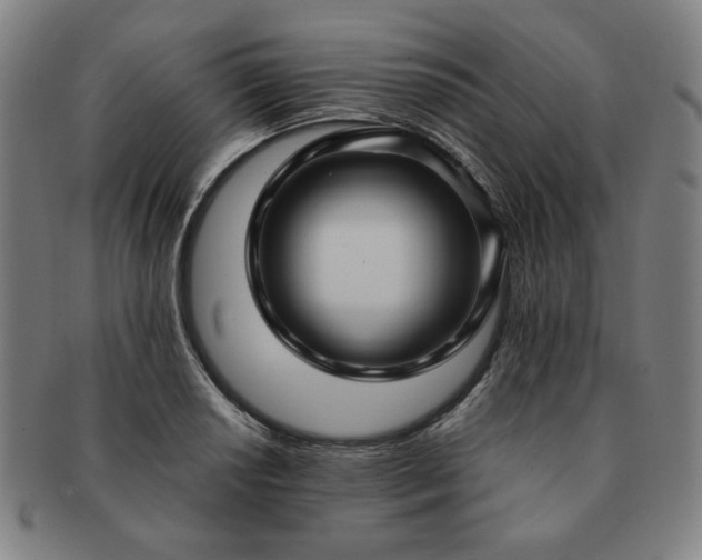 X0000091451034200708231251