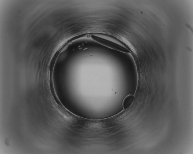 X0000091451035200708231251