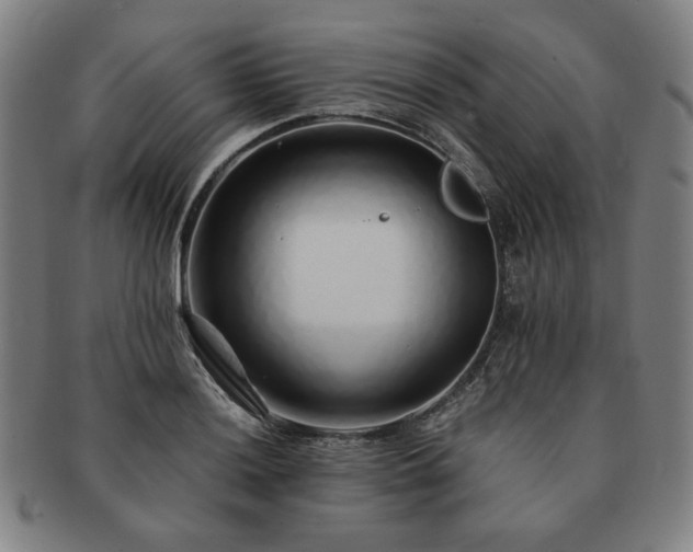 X0000091451036200708231251