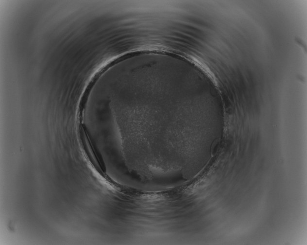 X0000091451037200708231251