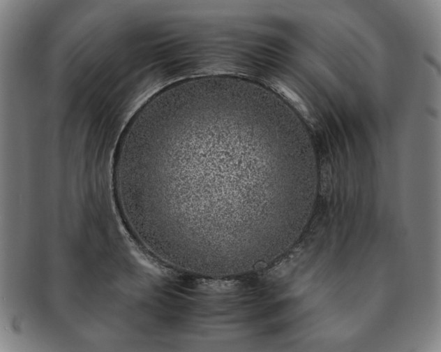 X0000091451039200708231251