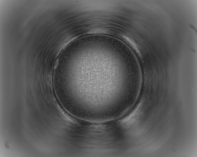 X0000091451041200708231251