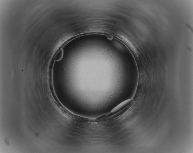 X0000091451043200708231251