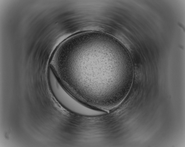 X0000091451044200708231251