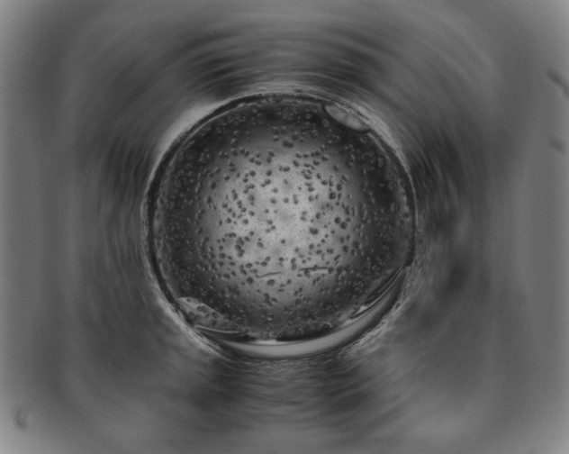 X0000091451045200708231251