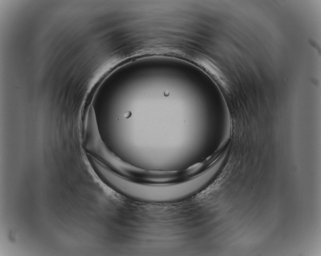 X0000091451046200708231251